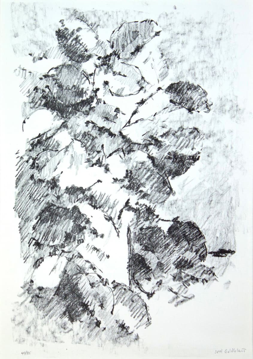 Dark Still-Life by Joel Goldblatt, Image 1.