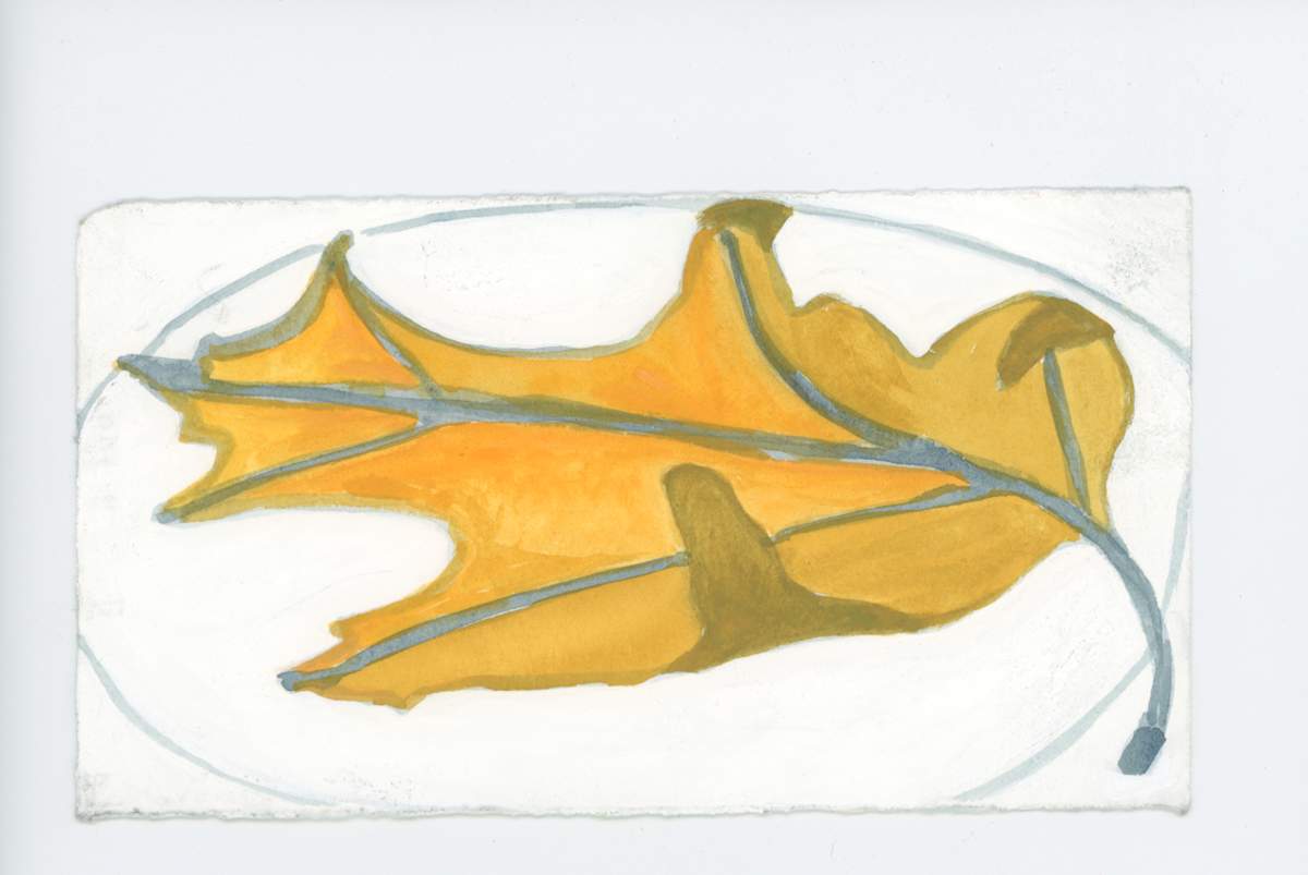 An Oak Leaf, #1825, Image 1.