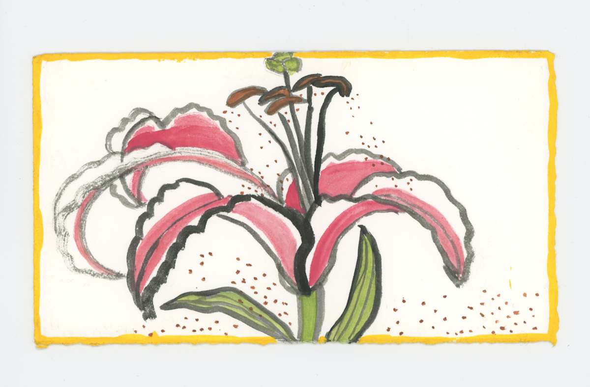 Lily, #1880, Image 1.