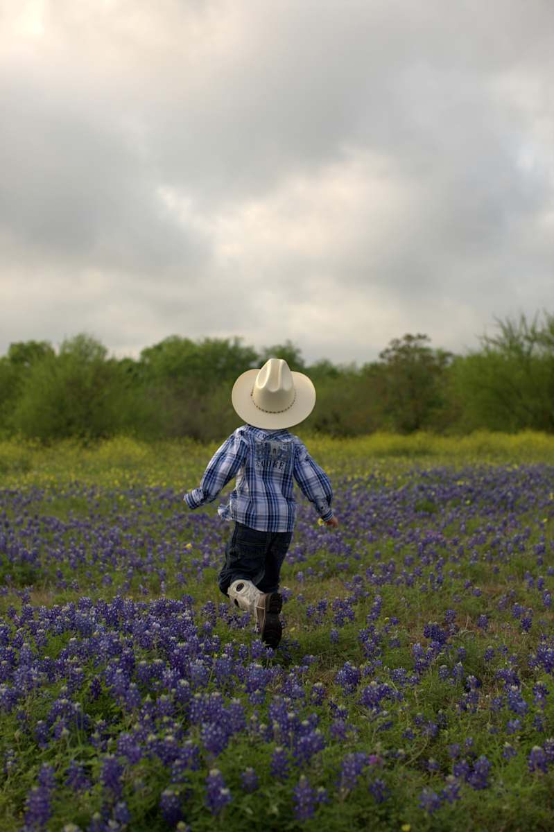 Bluebonnet Run by Shannon Chase Weck, Image 1.