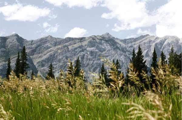 Banff 2 by Mona Miri, Image 1.