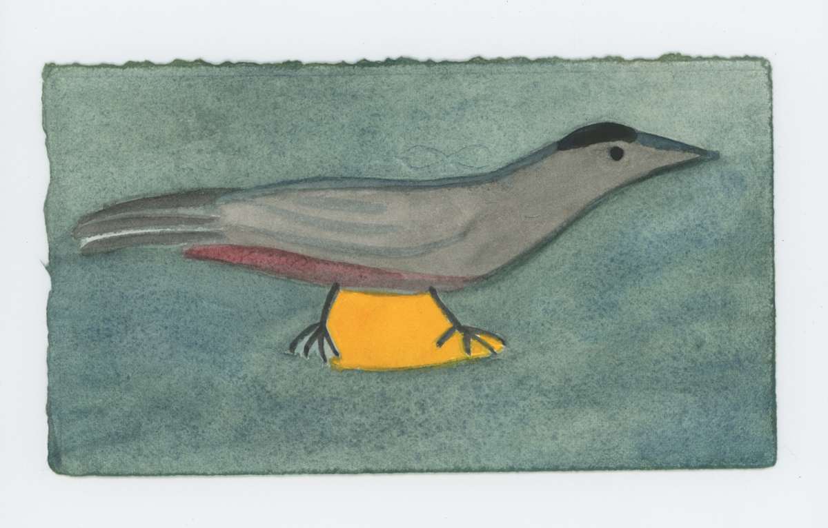 The Cat Bird, #1926, Image 1.