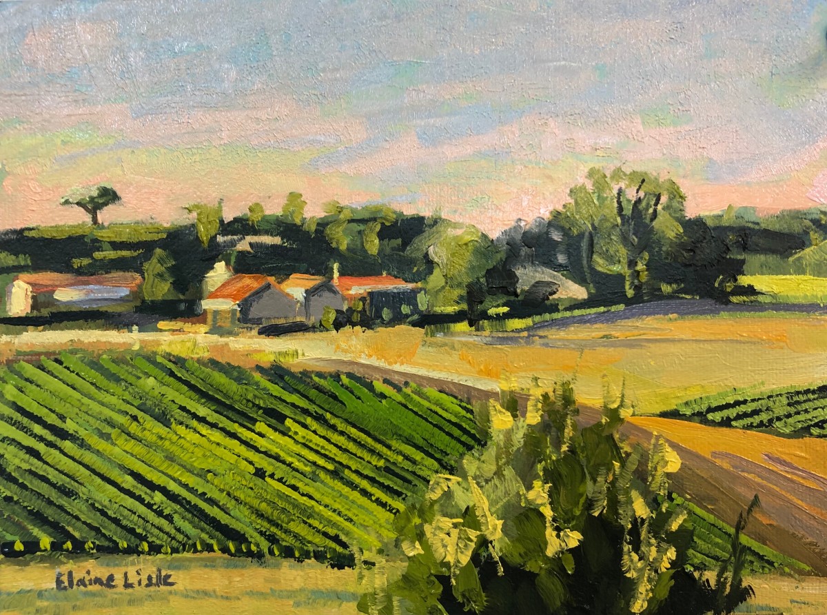 Mondou Vineyards Dusk by Elaine Lisle 