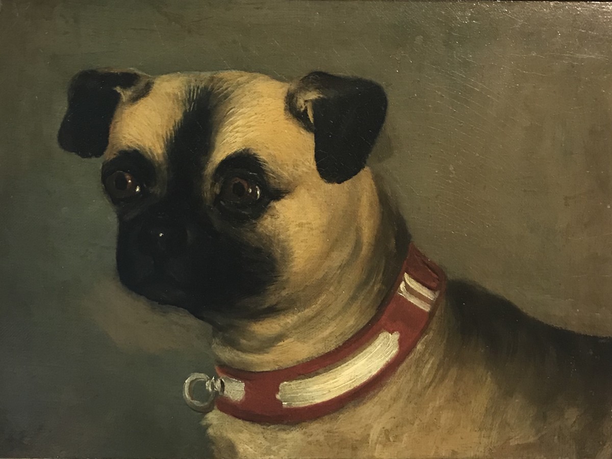 Pug by 19th Century European 