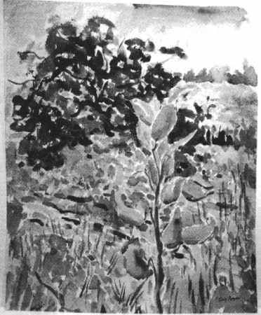 Milkweed by Tunis Ponsen, Image 1.