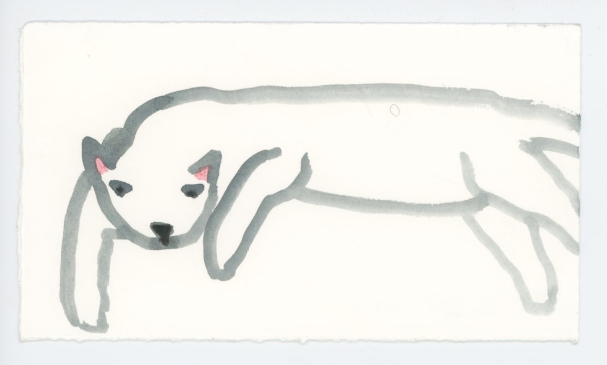 Cat 3, #1657, Image 1.