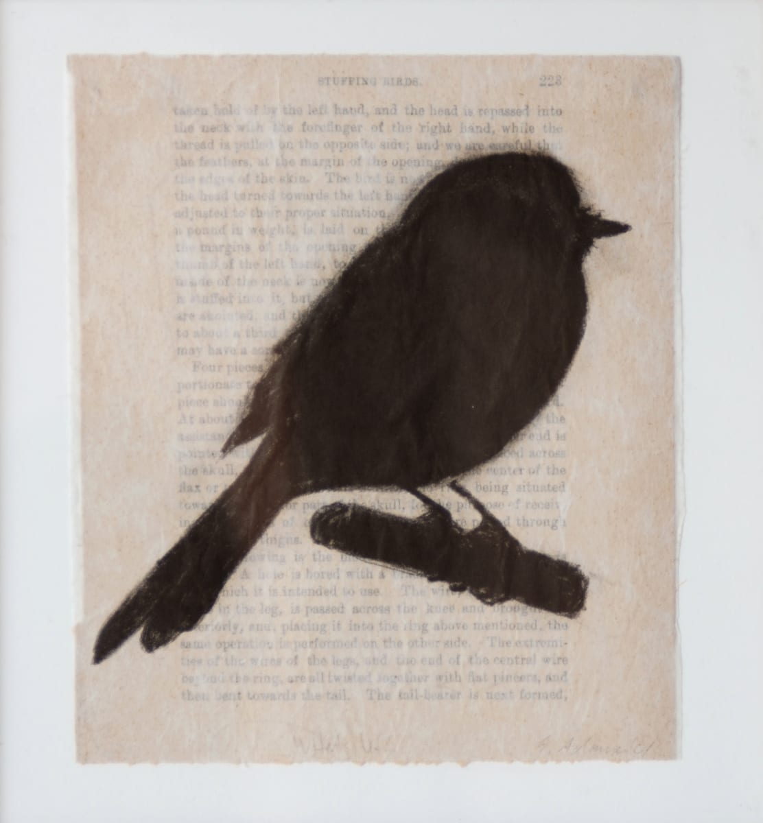 What's Left by S. Adams 