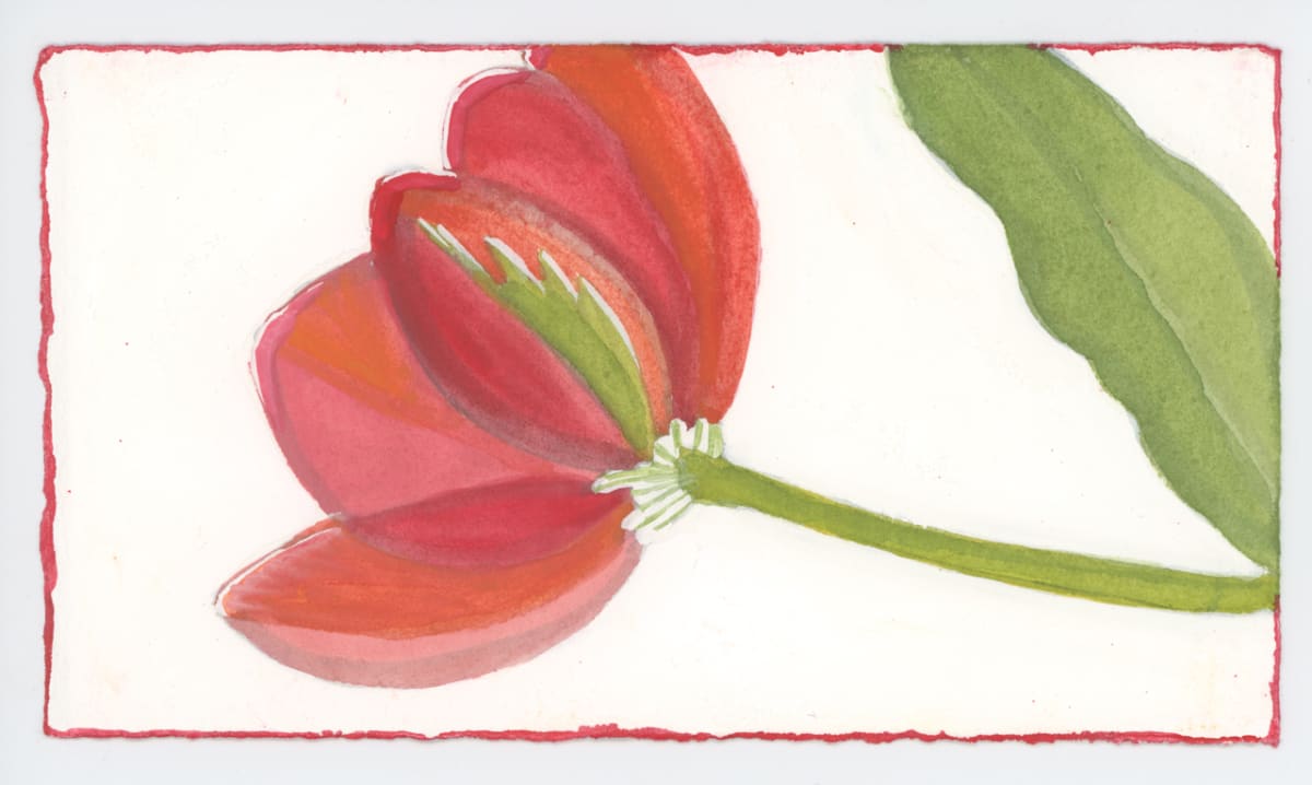 One of the Tulips, #1633 by Raya Bodnarchuk, Image 1.