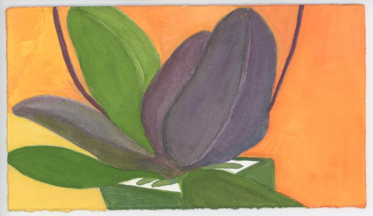 The Orchid's Roots, #1535, Image 1.
