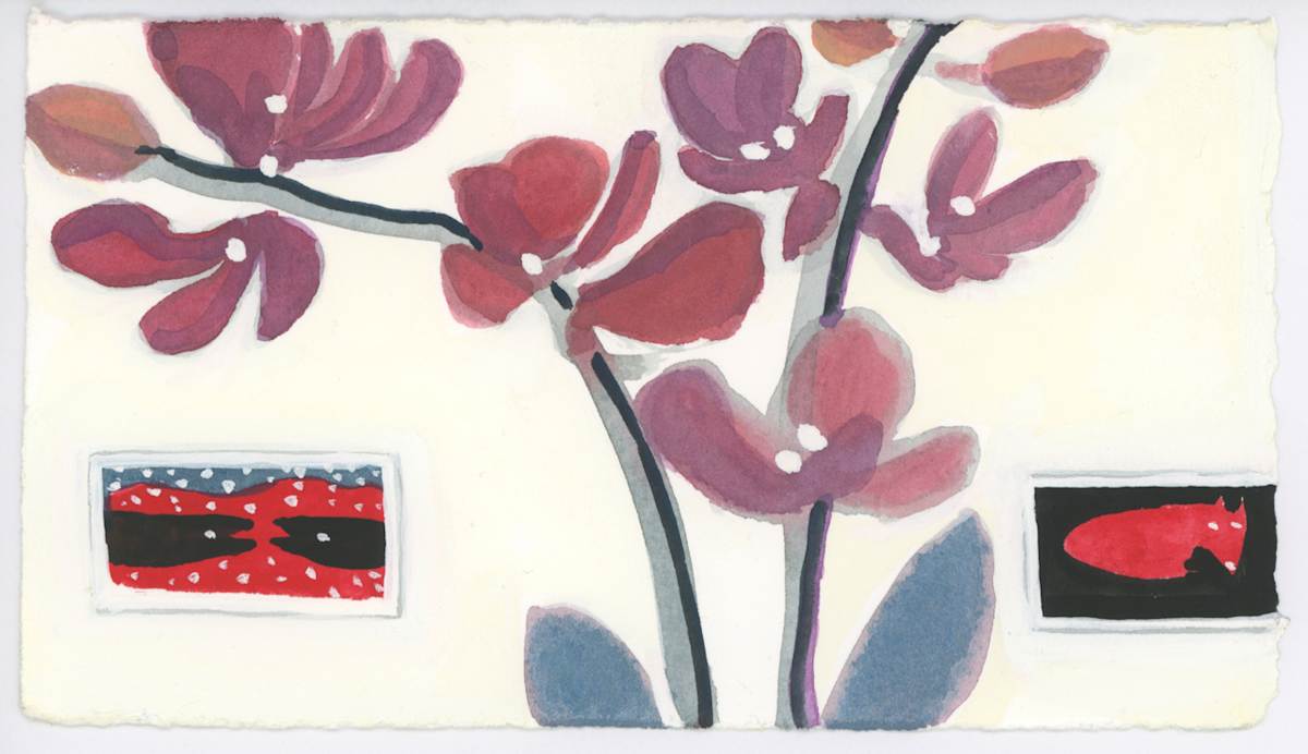 The Orchid, #1533, Image 1.