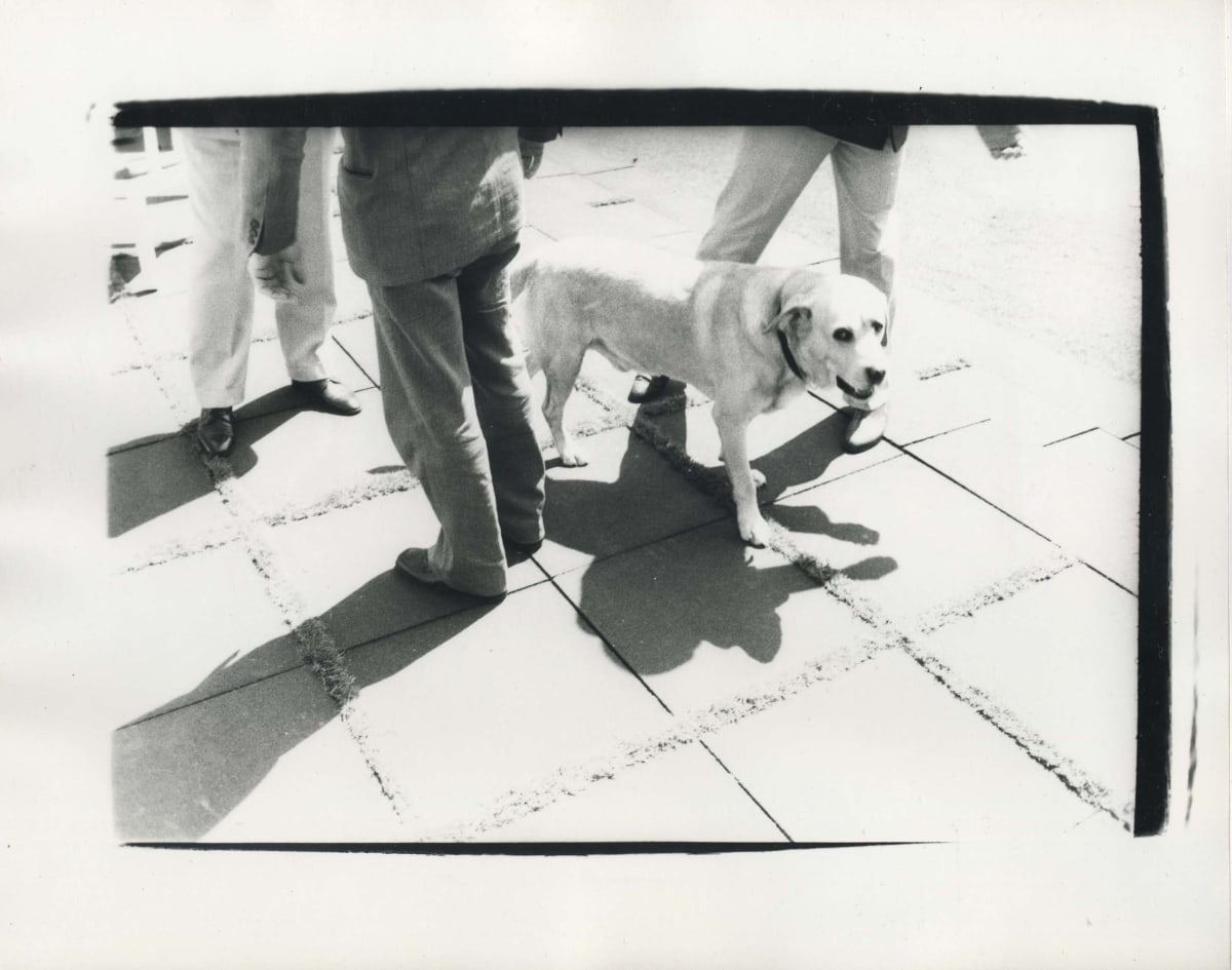 Dog by Andy Warhol, Image 1.