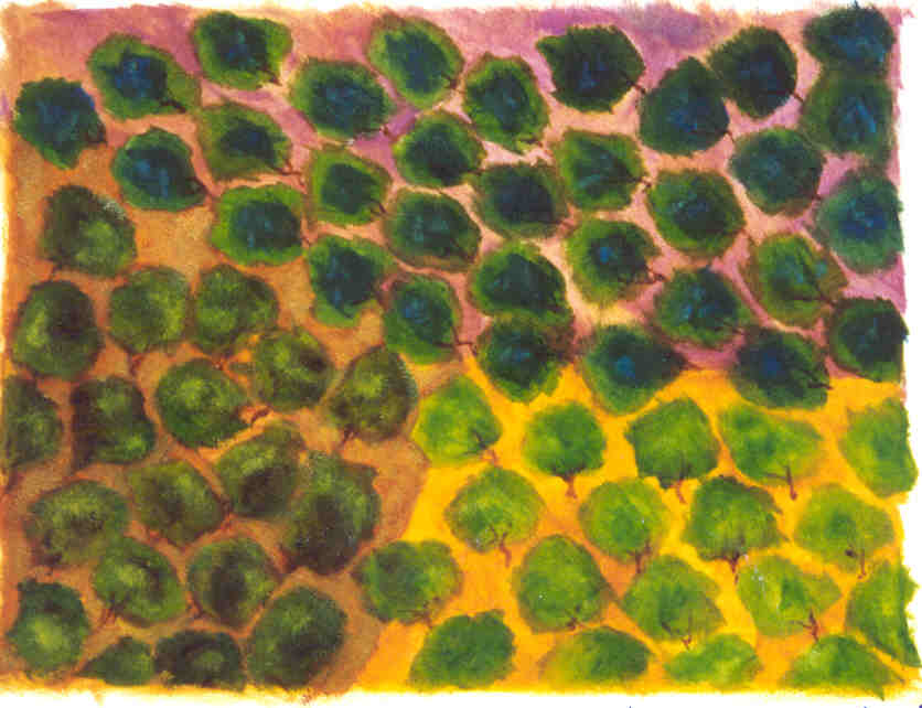 99-91 by Clemente Mimun 