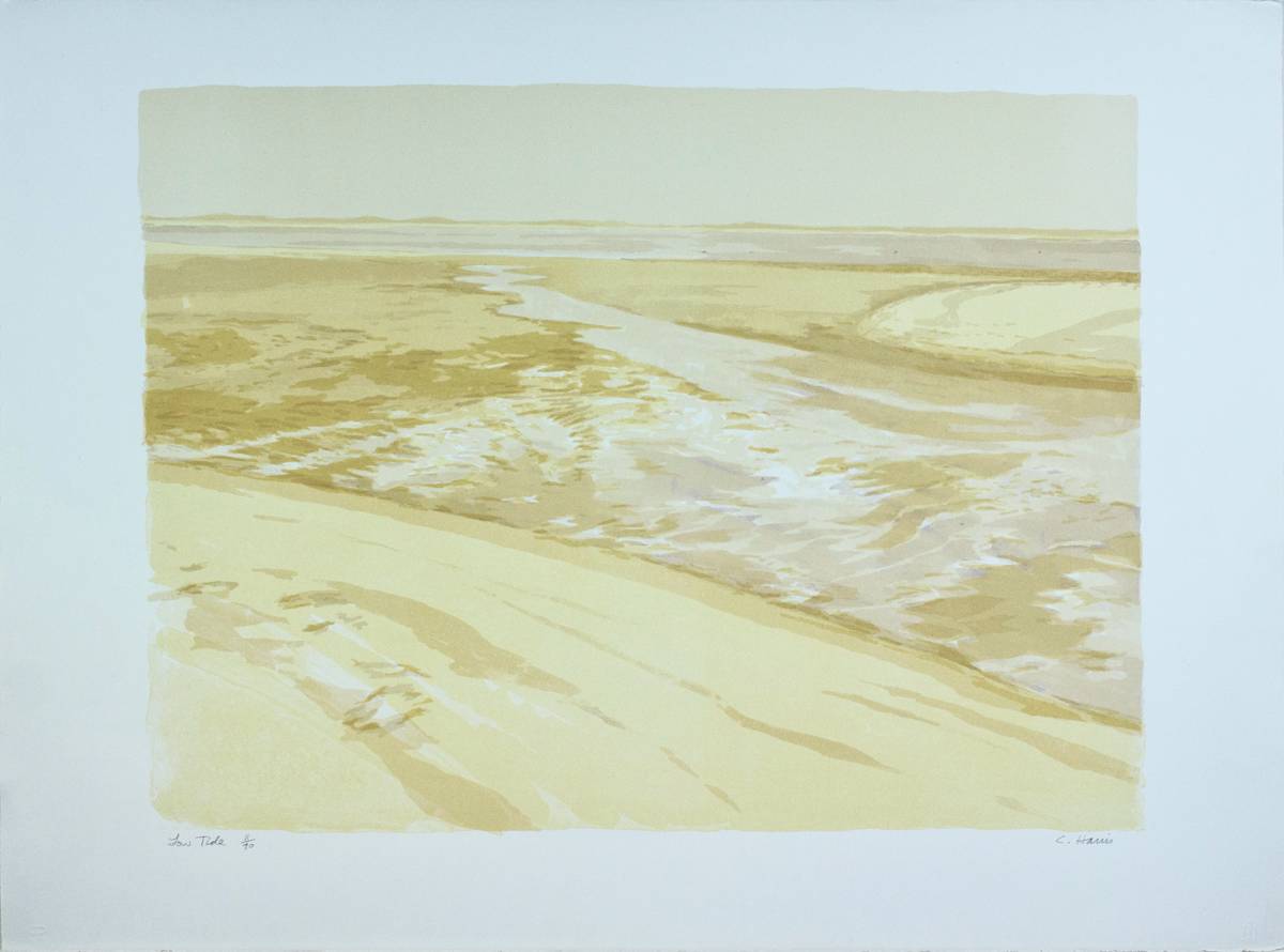 Low Tide by Conley Harris, Image 1.