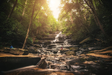 Magic in nature by Marilyn Nieves 