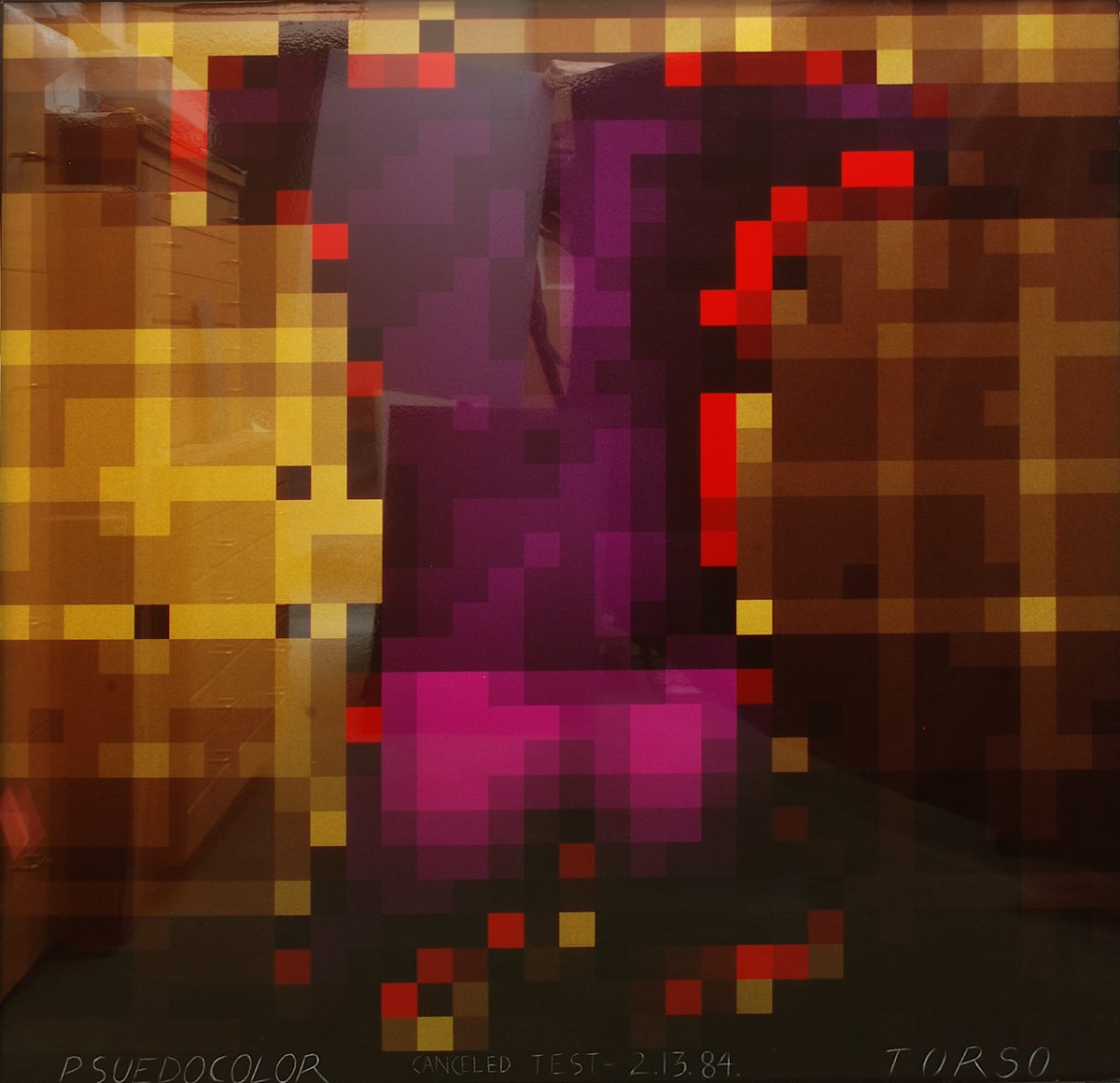 Torso - Psuedocolor - Cancelled Test 2/13/84 by Ron Cooper, Image 1.