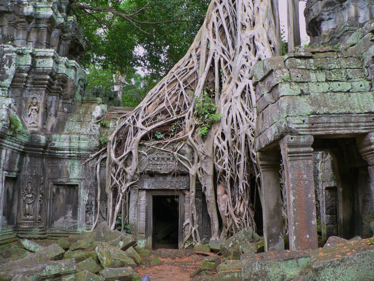 Angkor Ruins by Tri A. Dinh, MD 