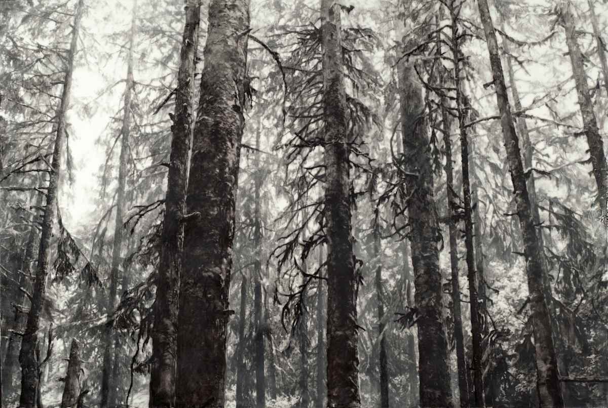 The Sentinels by Robin Cole, Image 1.