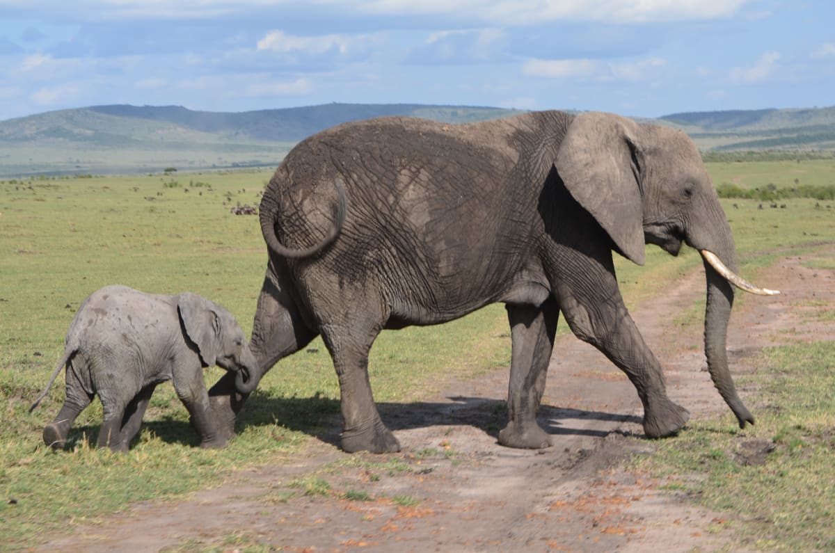 Mom and Baby by Becky Christensen 