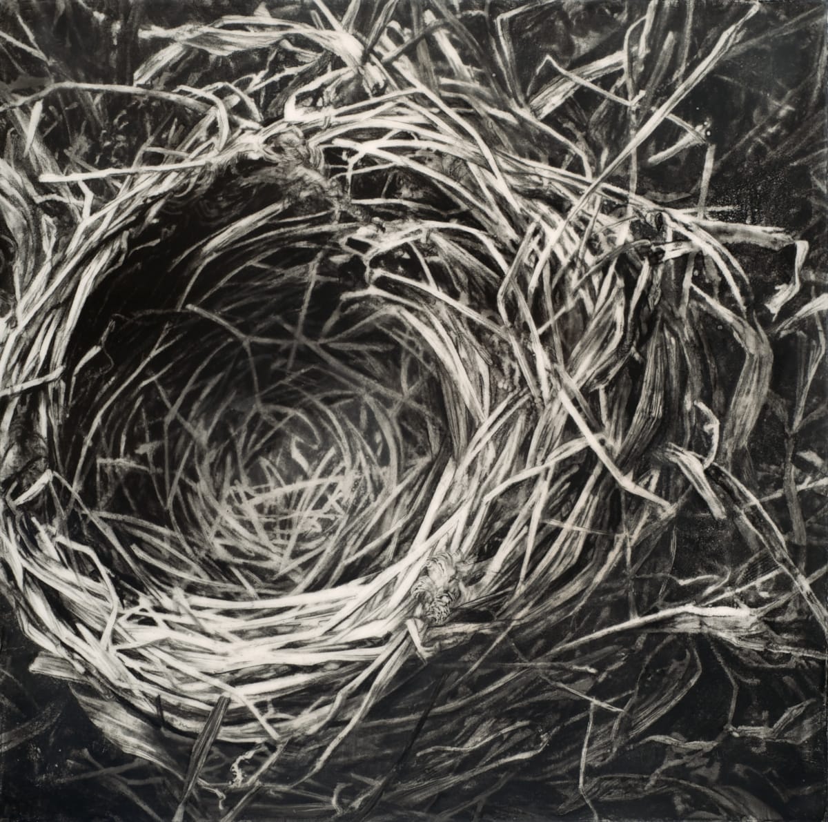 Instinct II by Robin Cole, Image 1.