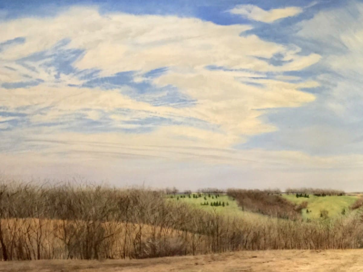 Spring, Cass County by Ben Darling, Image 1.