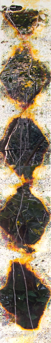 Wai'anae 3751 by Matthew Brandt, Image 1.