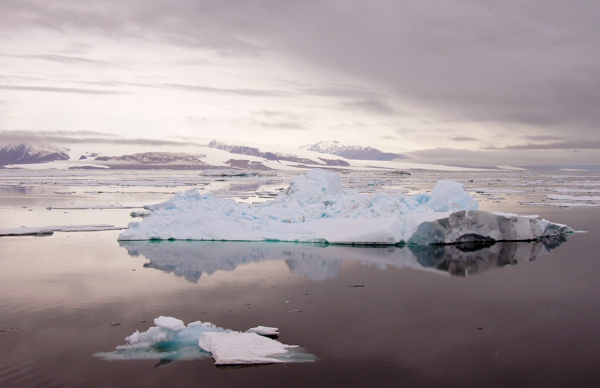 Artic Morning by Jan Snyder 