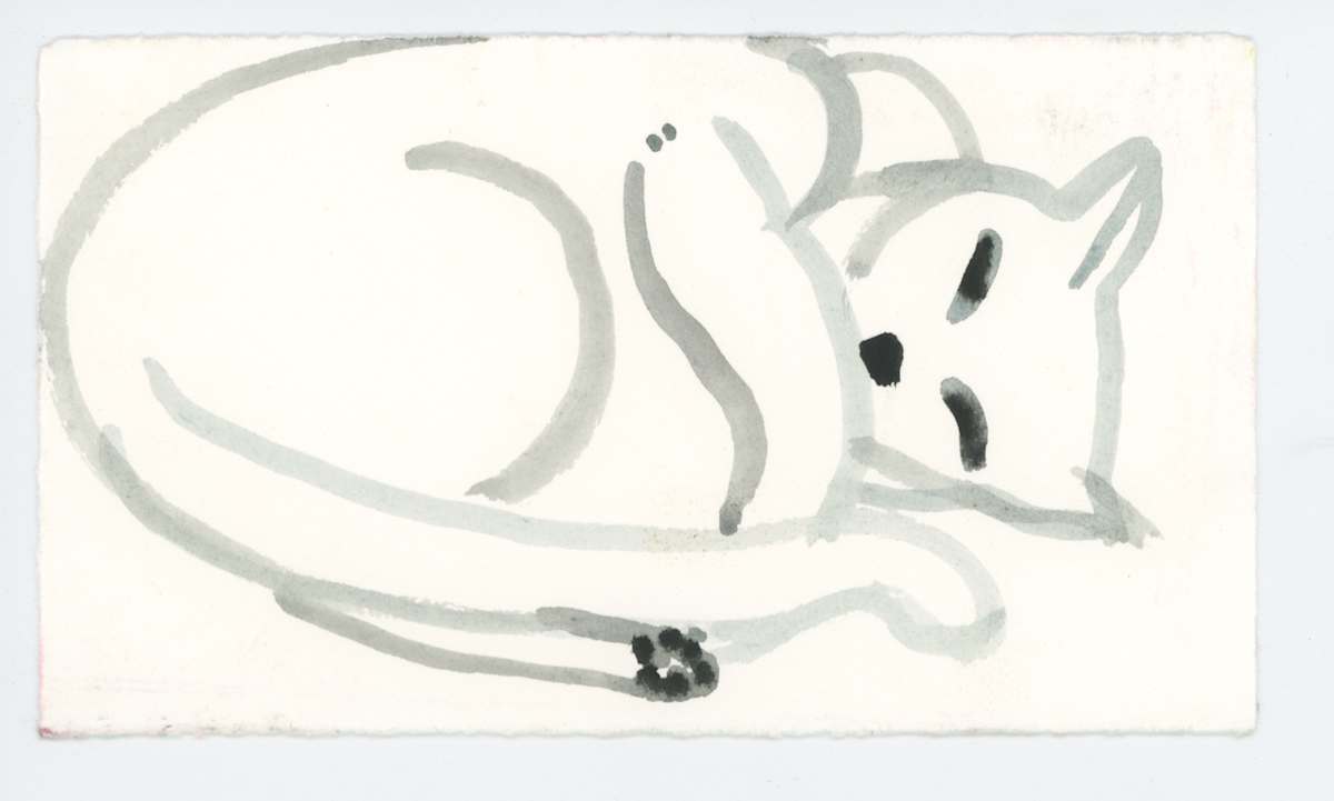 Sleeping, #1667, Image 1.