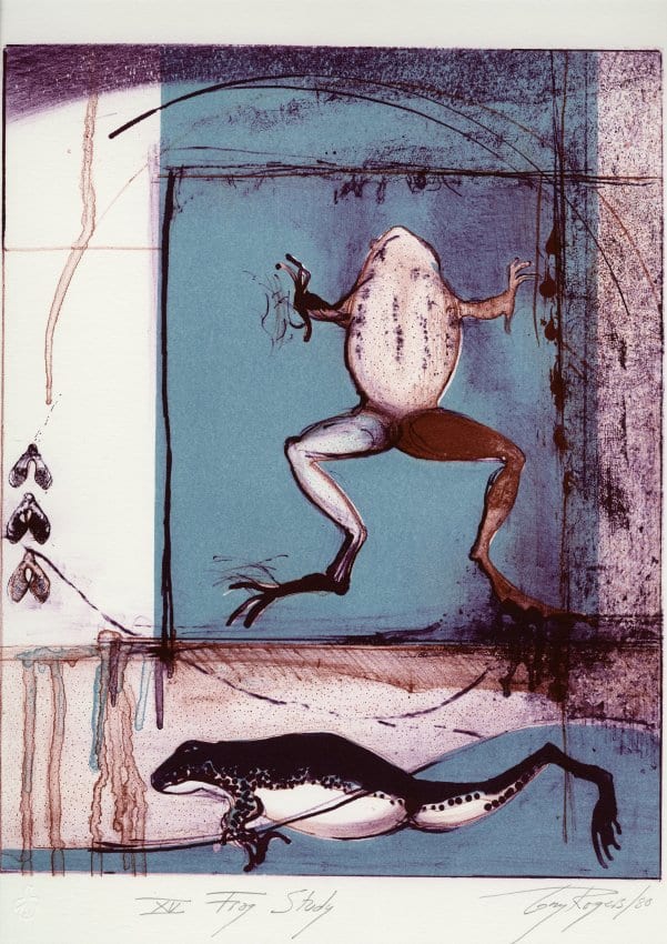 Frog Study by Gay Rogers 