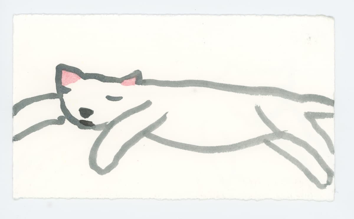 Cat 2, #1656, Image 1.