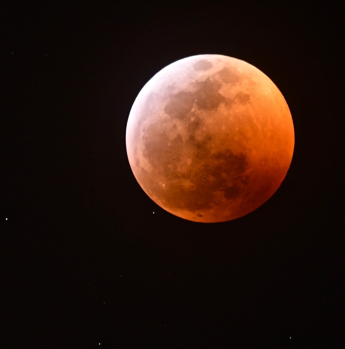 Super Blood Wolf Moon by Gilchrist Jackson MD, FACS 