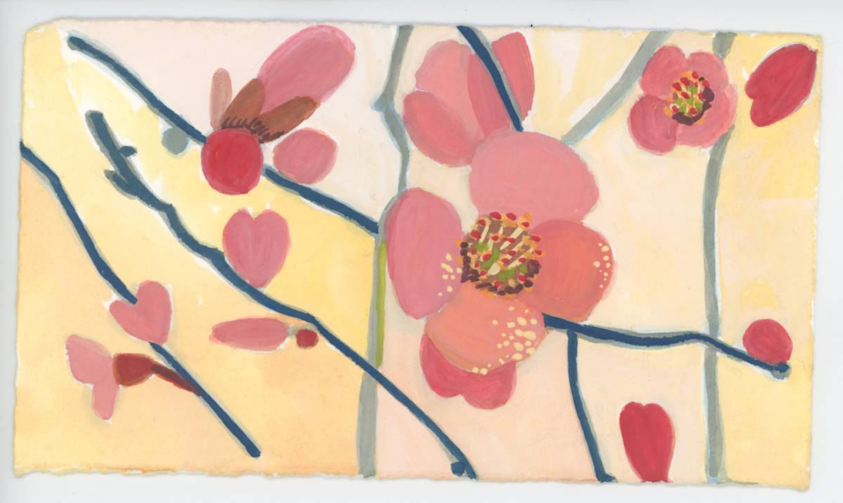 Quince, #1582, Image 1.