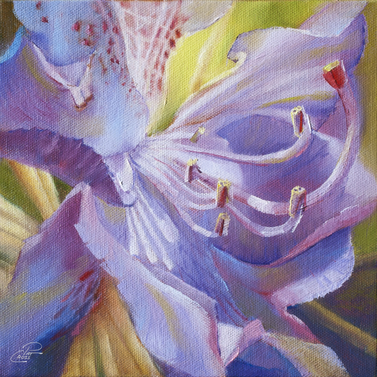 Radiant Rhododendron I by Pat Cross 