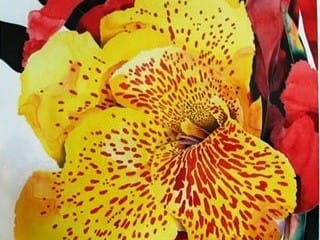 Yellow & Red Cannas by Robert Therien, Image 1.