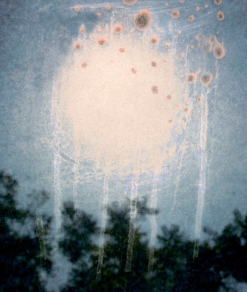 Into the Sun 40 by Elijah Gowin 