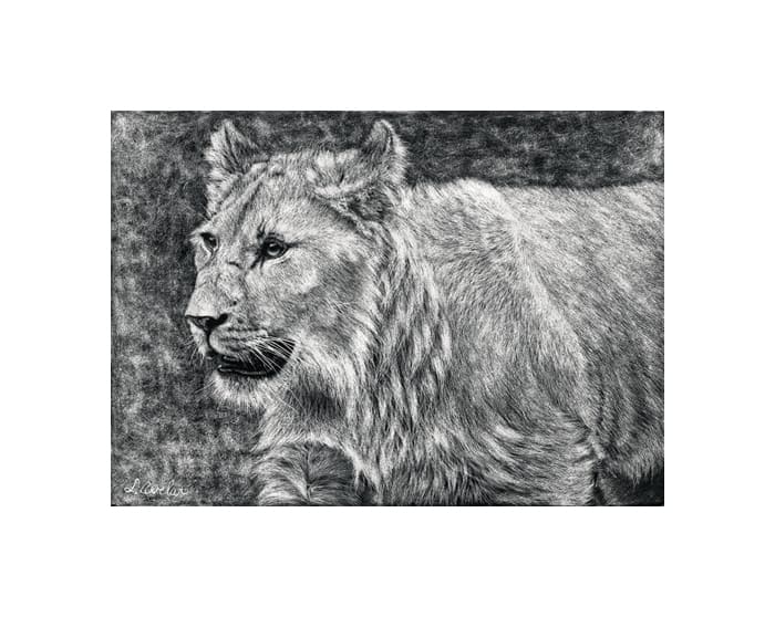 On The Cusp by Lonetta Avelar, Image 1.