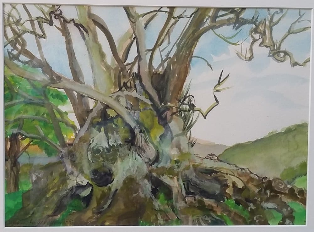 Chesilborough Hill, Somerset by Susan Anderson 