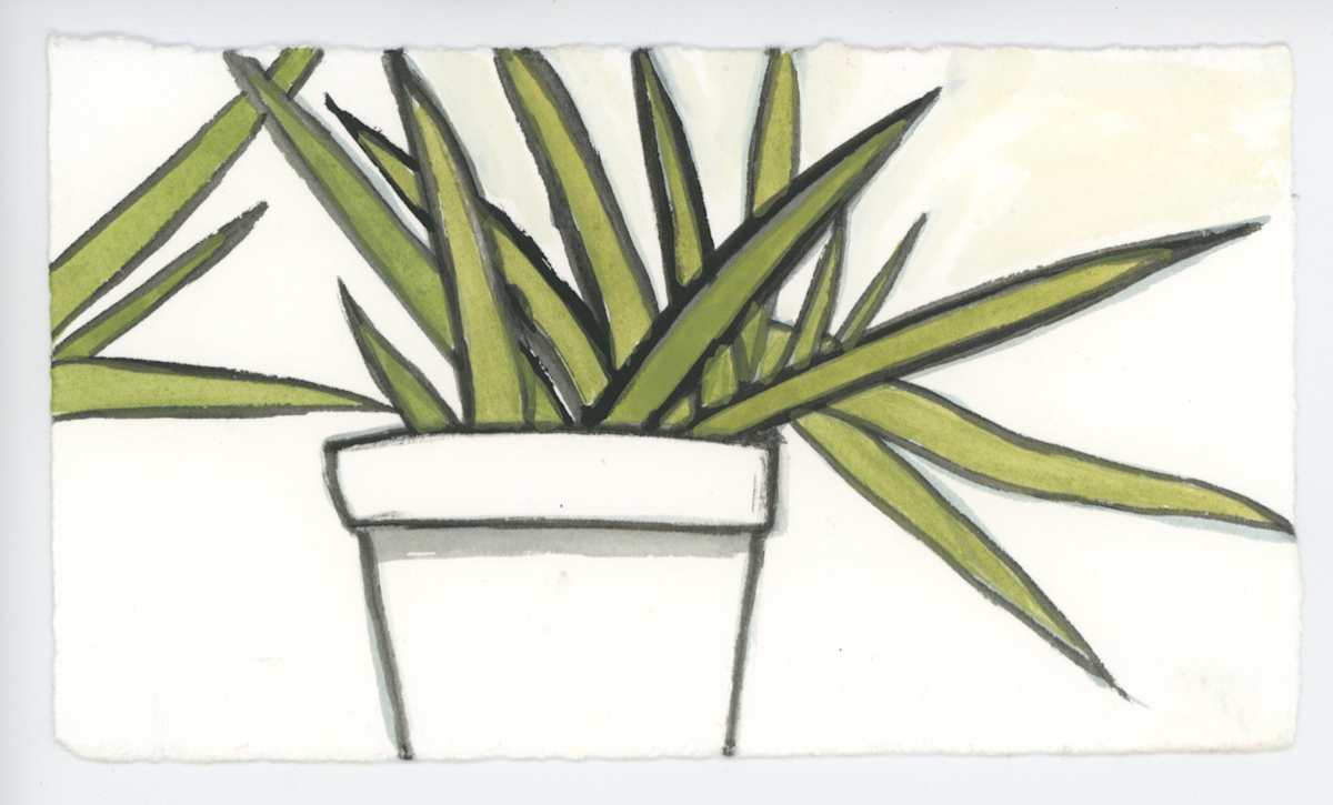 The Rhino Grass, #1620, Image 1.
