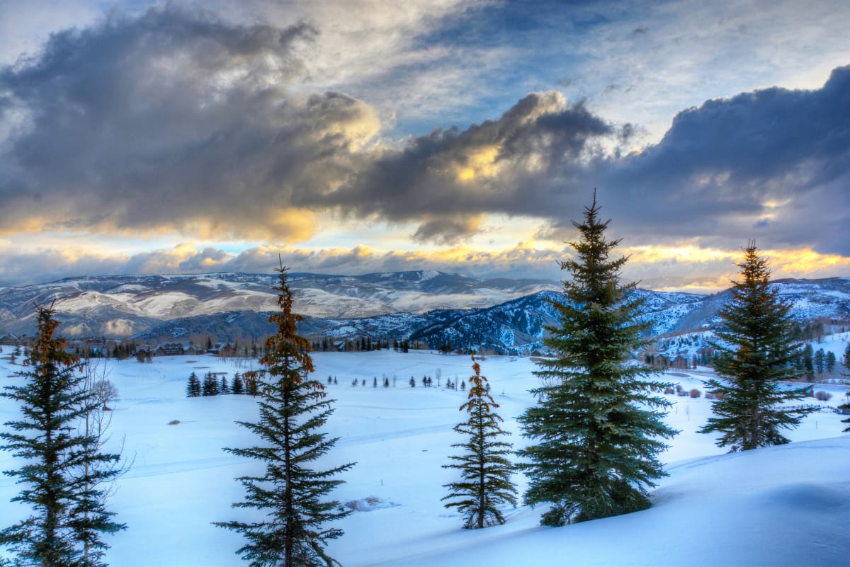 Winter Evening by Michele Brinkley, MD 