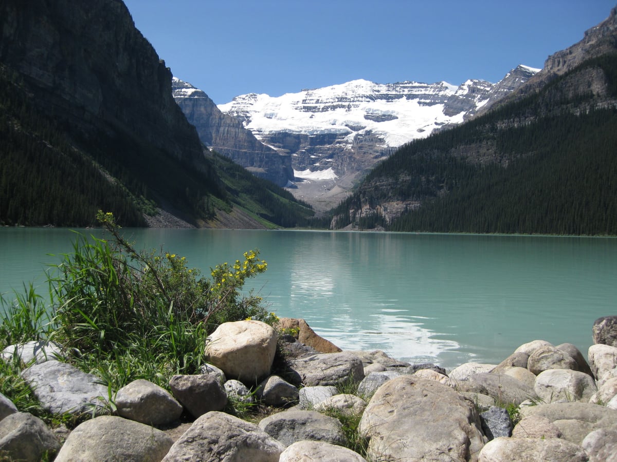 Tundra Blossom by King C. Li, MD 