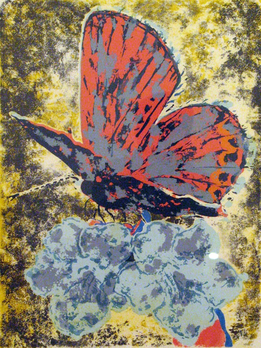 Butterfly by Douglas Houchens, Image 1.