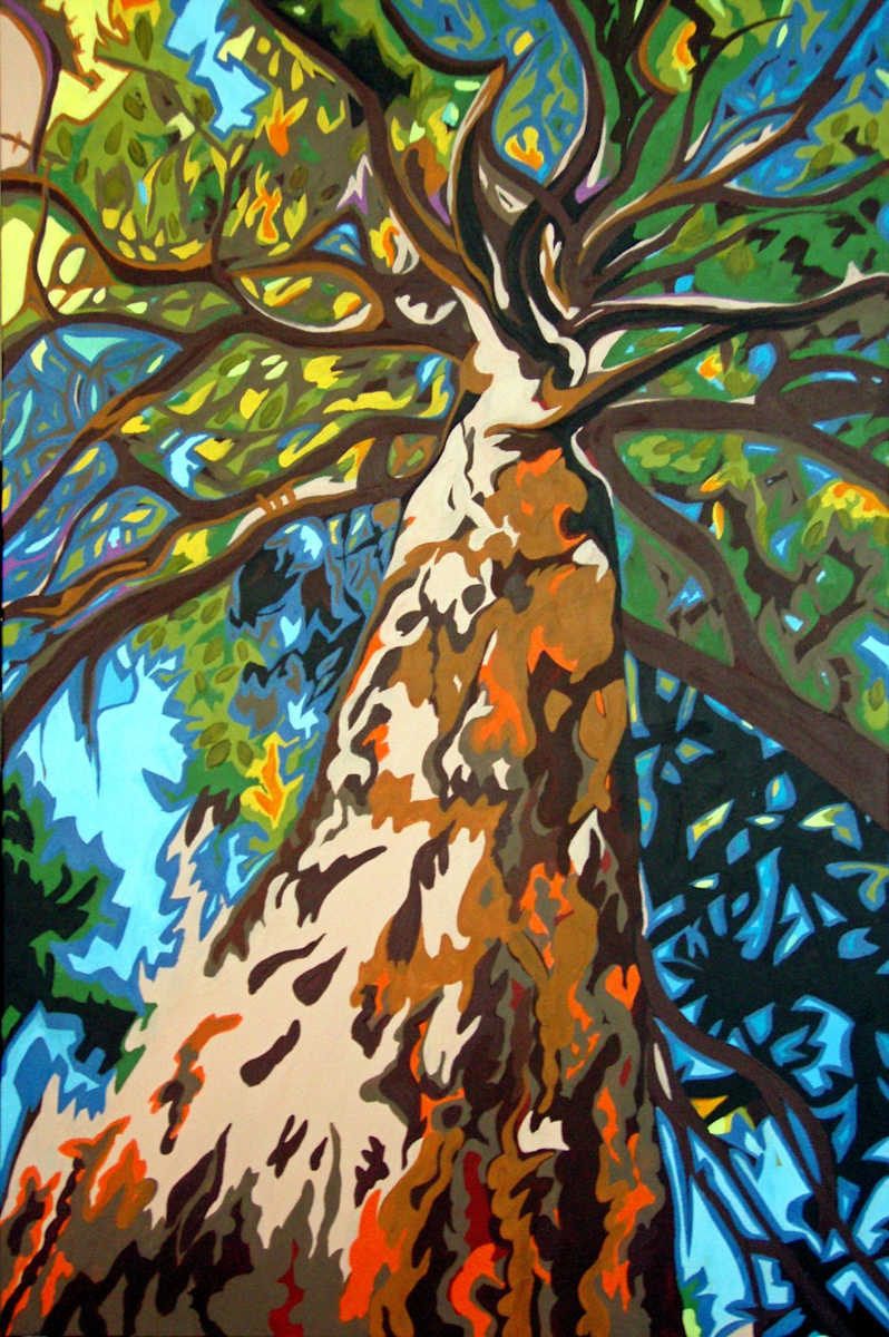 Tree Envy, Image 1.