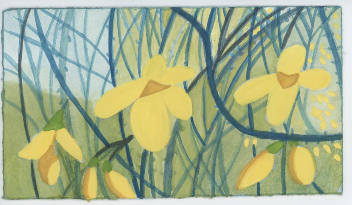 Some Forsythia, #1559 by Raya Bodnarchuk 