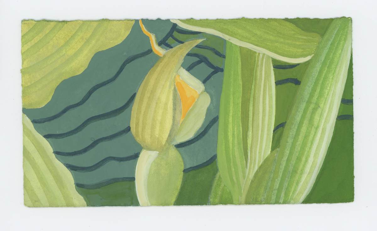 The Elephant Ear Flower #1914, Image 1.