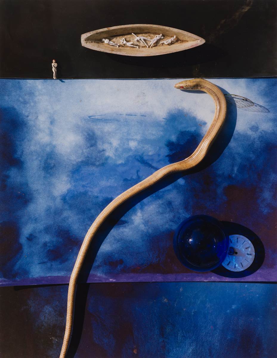Boat With Snake by Maggie Taylor, Image 1.