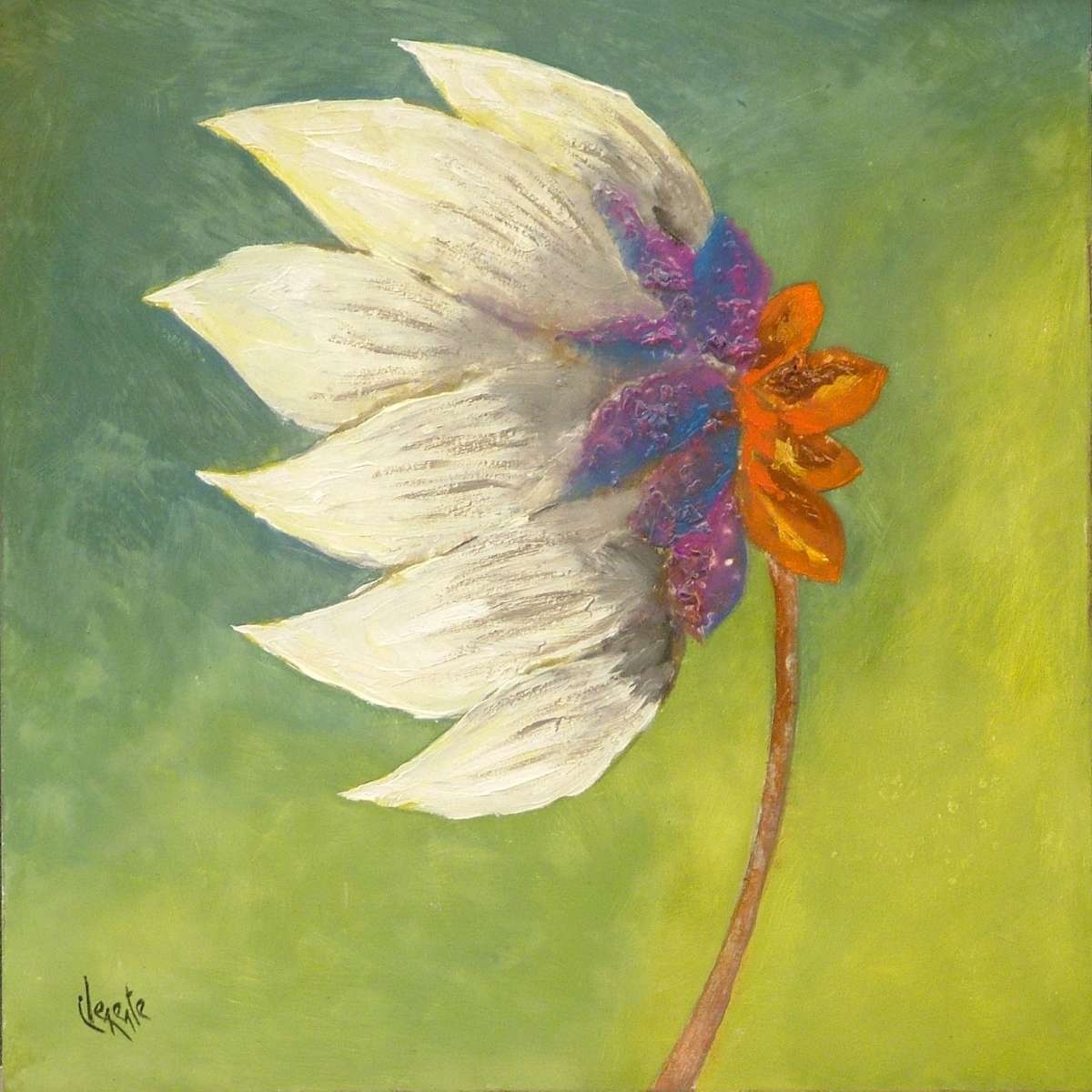 F433 by Clemente Mimun, Image 1.