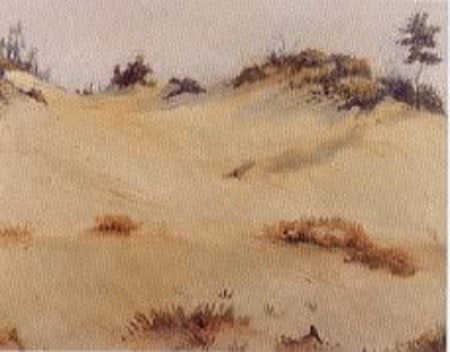 Dune Scene by Tunis Ponsen 