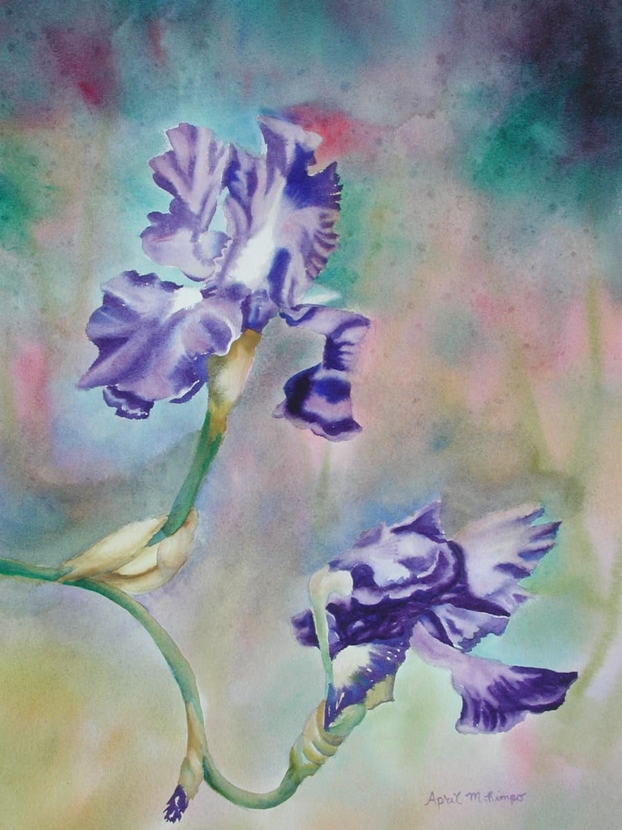 Dancing Irises by April Rimpo 