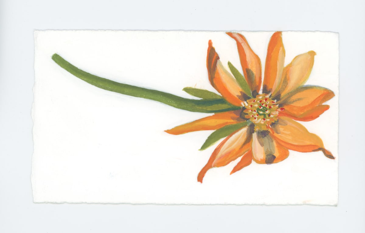 The Last Flower Here, #1802 by Raya Bodnarchuk 