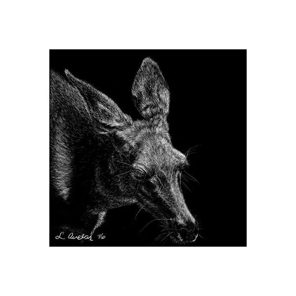 Good Morning by Lonetta Avelar, Image 1.