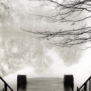 Piedmont Park Series (Dock) by Terrell Clark 